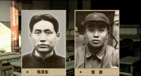 譚政