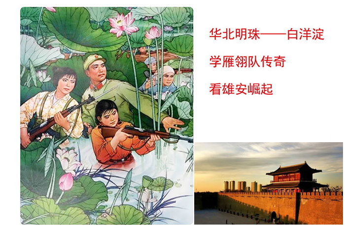 白洋淀