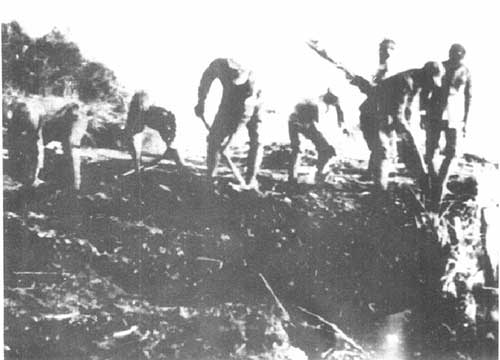 蘇浙軍區(qū)的大生產(chǎn)運(yùn)動(dòng)