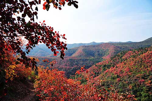 北京香山紅色教育基地