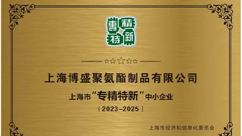 公司營收突破8000萬，被上海市經(jīng)濟和信息化委員會評定為&ldquo;專精特新&rdquo;中小企業(yè)，公司制定和實施&ldquo;兩化一增長&rdquo;的第一個五年計劃。